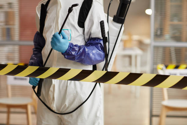 Professional Sewage Cleanup technician working in Newark, TX
